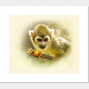 Squirrel monkey Posters and Art